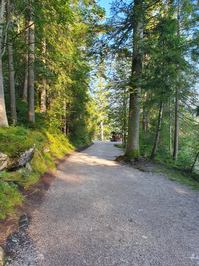 20240828_083532.jpg