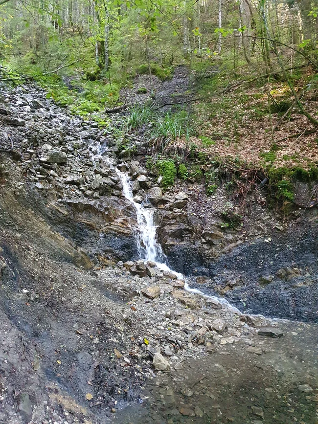 20240828_091905.jpg