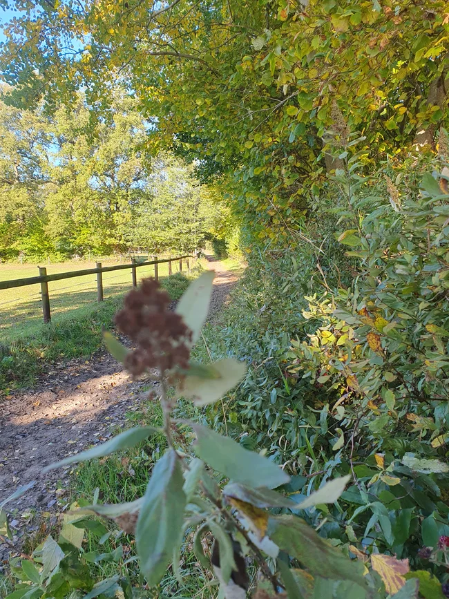 20251018_115640.jpg
