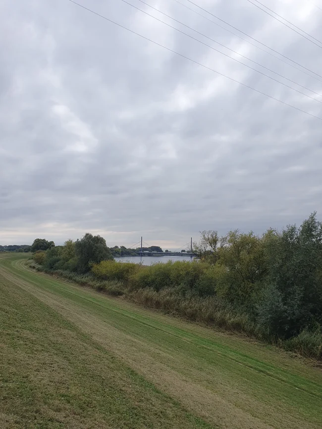 20250927_132657.jpg