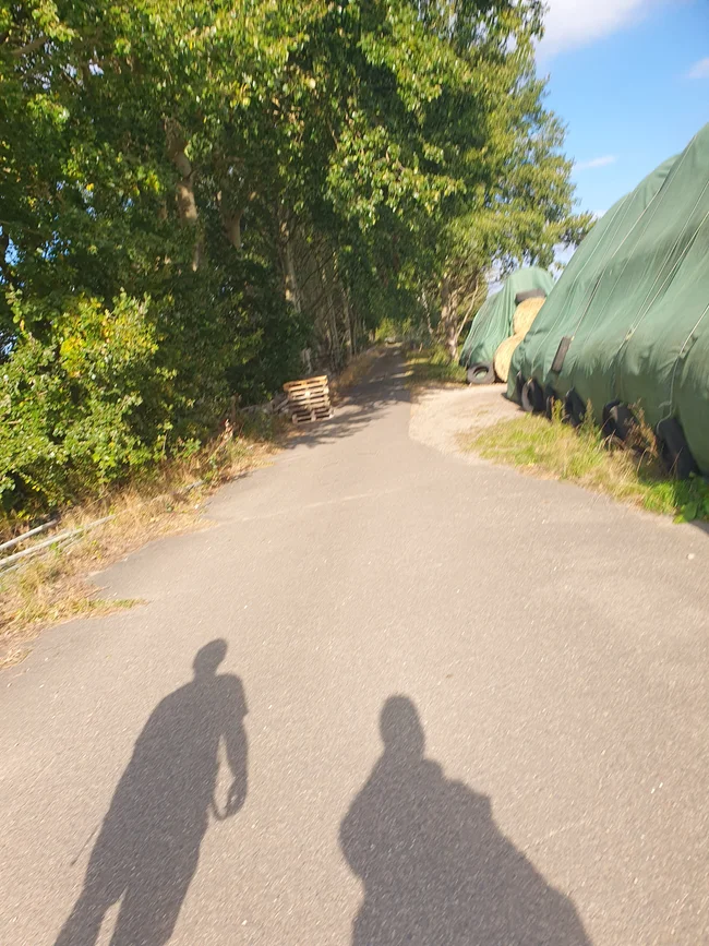 20250927_153647.jpg