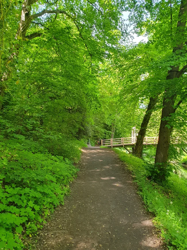 20260524_140934.jpg