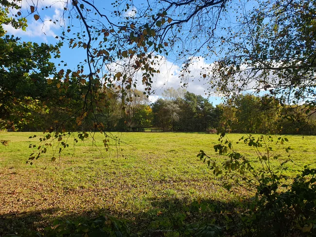 20251018_140132.jpg