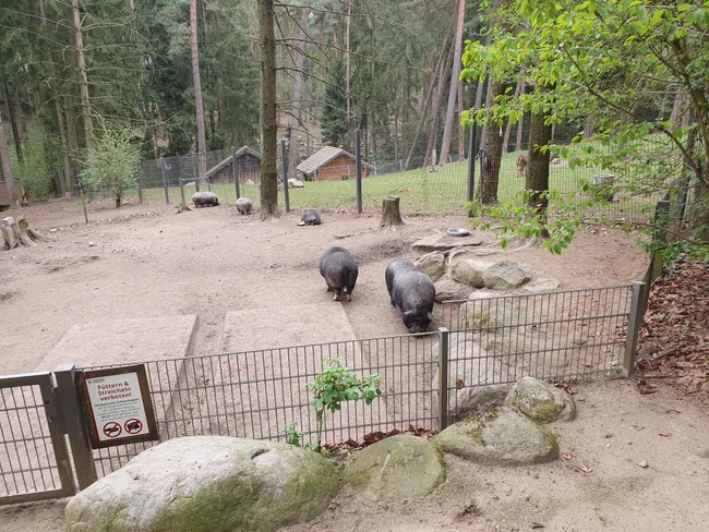 20260418_124850.jpg