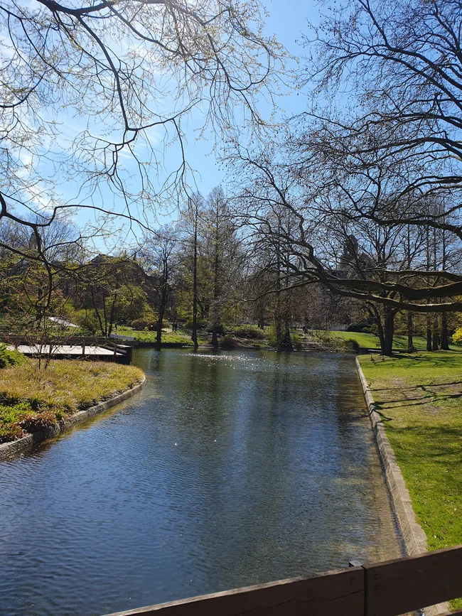 20260409_122530.jpg