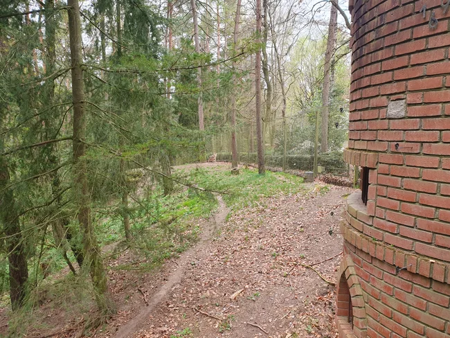 20260418_113400.jpg
