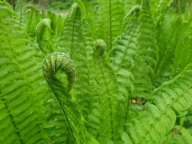 20260502_183930-2.jpg
