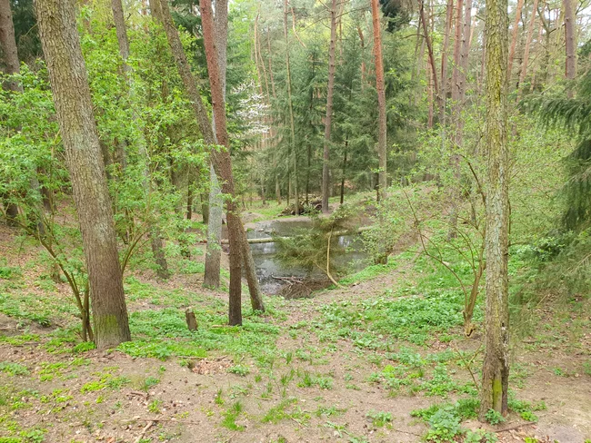 20260418_113329.jpg