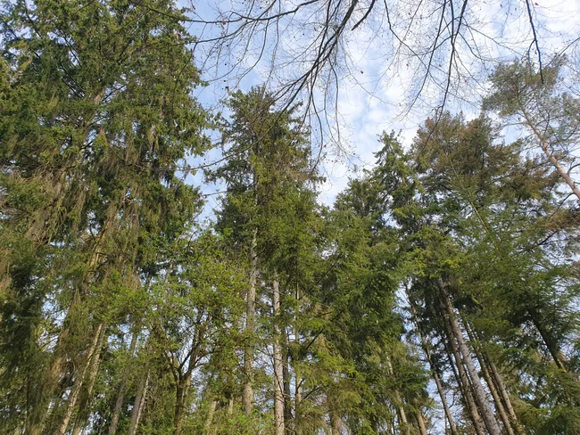 20260418_102224.jpg