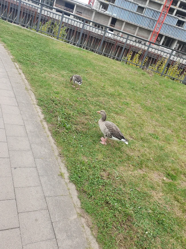 20250927_124753.jpg