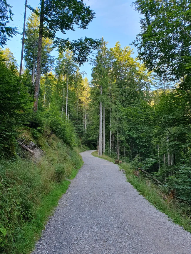 20240828_090553.jpg