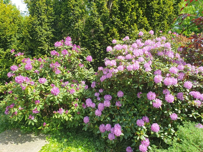 20260524_135857.jpg